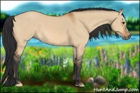 Horse Color:Bay Dun