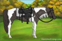 Horse Color:Smoky Black Tobiano 