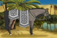Horse Color:Grullo 