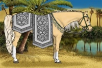 Horse Color:Palomino Rabicano 