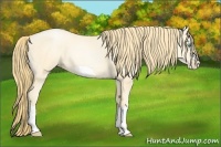 Horse Color:Buckskin Pearl Dun Splash Frame 