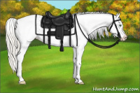 Horse Color:Silver Amber Cream Champagne Dun Appaloosa 