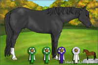 Horse Color:Brown 