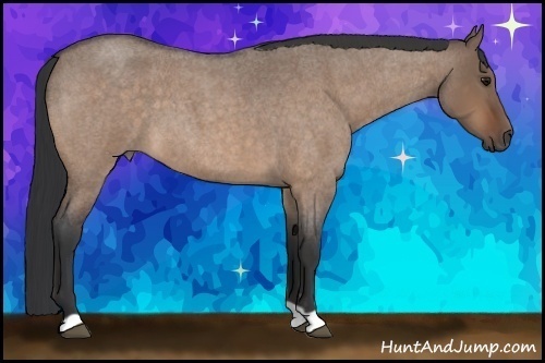 Horse Color: Bay Roan Dun 