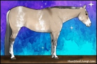 Horse Color:White Spotted Bay Dun 