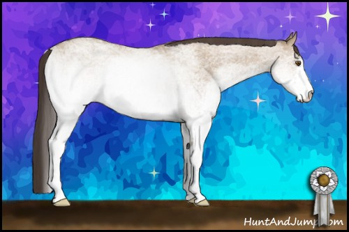 Horse Color: White Spotted Classic Champagne Dun 