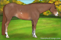Horse Color:Red Roan Sabino 