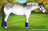 Horse Color:White Spotted Buckskin Tobiano