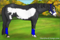 Horse Color:Black Frame