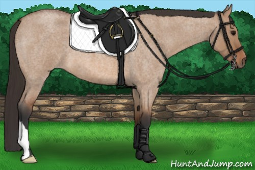 Horse Color: Bay Roan Dun 