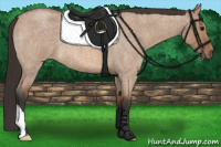 Horse Color:Bay Roan Dun