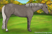 Horse Color:Silver Smoky Black 