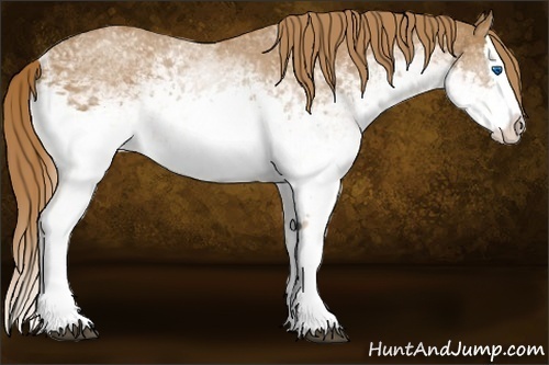 Horse Color: White Spotted Chestnut Splash 