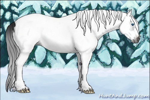Horse Color:Gray White Spotted Black Frame 