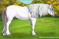 Horse Color:Brown Splash Tobiano Frame Near Leopard 