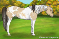 Horse Color:White Spotted Buckskin Dun Tobiano 