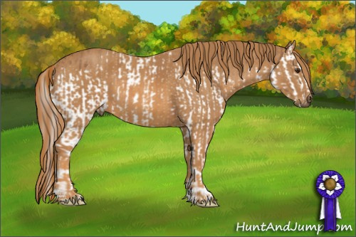 Horse Color: Chestnut Splash  Brindle