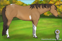 Horse Color:Buckskin Sabino Tobiano