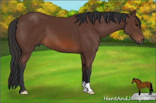 Horse Color: Bay 