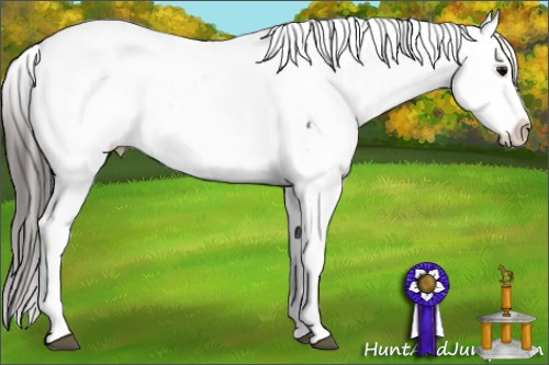 Horse Color: Brown Snowcap 