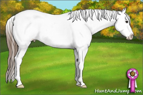 Horse Color: Bay Roan Near Fewspot 