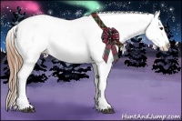 Horse Color:Red Dun Blanket 