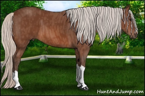 Horse Color: Silver Brown  Brindle