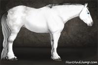 Horse Color:Gray White Spotted Grullo Roan Splash Frame 