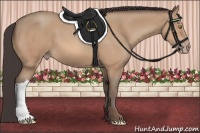Horse Color:Amber Champagne