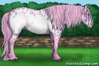 Horse Color:Watercolor Bay Frame Near Leopard 