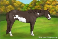 Horse Color:Liver Chestnut Frame 