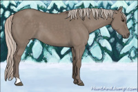Horse Color:Silver Grullo 