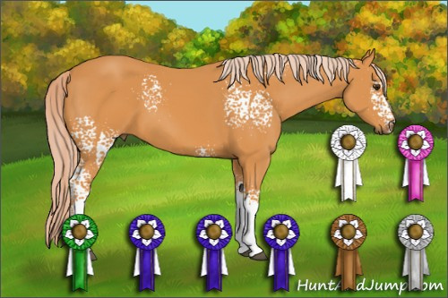 Horse Color: White Spotted Chocolate Palomino 