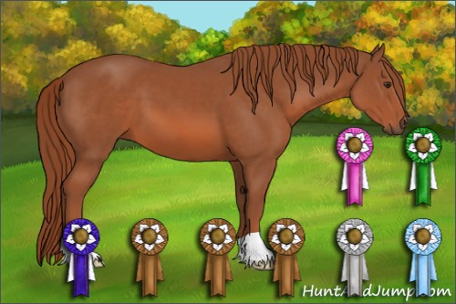 Horse Color: Liver Chestnut 