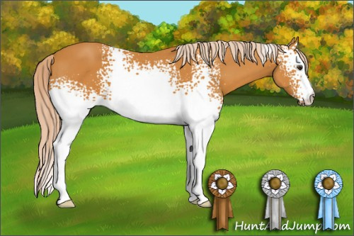 Horse Color: White Spotted Chocolate Palomino 