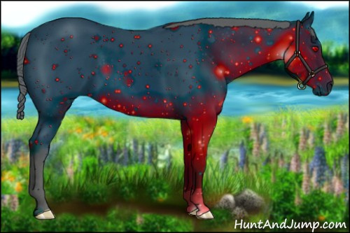 Horse Color: ERROR: UNKNOWN ANOMALY