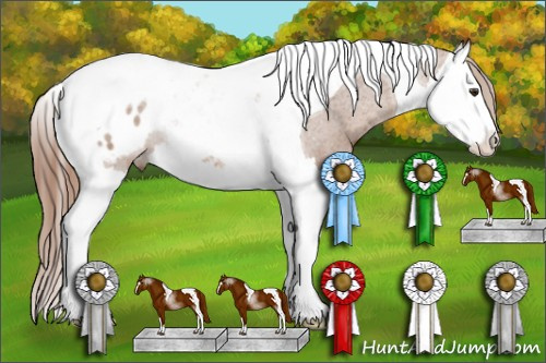 Horse Color: Liver Chestnut Splash Tobiano Blanket 