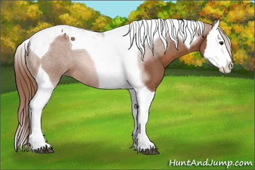 Horse Color: Chestnut Splash Tobiano 