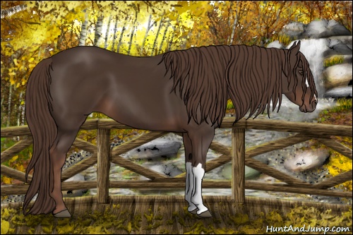 Horse Color: Liver Chestnut 