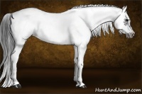 Horse Color:White Spotted Black Splash Frame