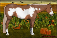 Horse Color:Chestnut Frame 