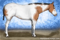Horse Color:Bay Tobiano Frame 