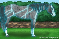 Horse Color:Thunderstruck Blue Roan Splash 