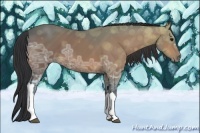 Horse Color:Bay Ice 