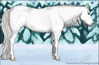 Horse Color:Gray White Spotted Silver Black Ice 