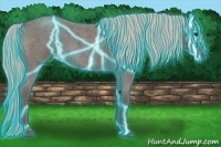 Horse Color:Thunderstruck Silver Blue Roan 
