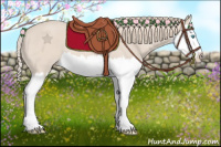 Horse Color:Perlino Roan Splash 