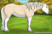Horse Color:Silver Classic Cream Champagne Dun Splash 