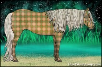Horse Color:Plaid  Silver Bay 
