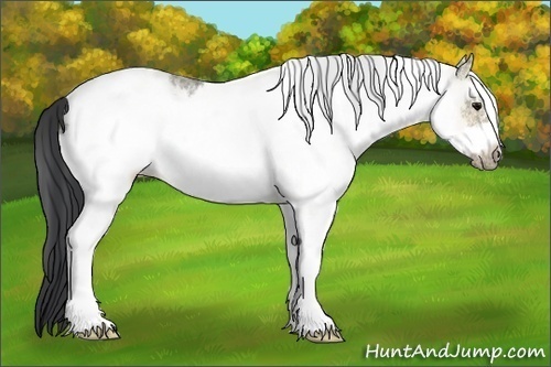 Horse Color: White Spotted Bay Ice Frame 